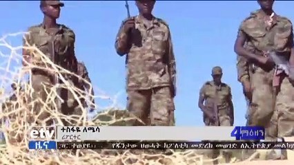 Военная операция в Тыграе завершена