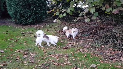 Le grand plaisir des petits fureter dans le jardin