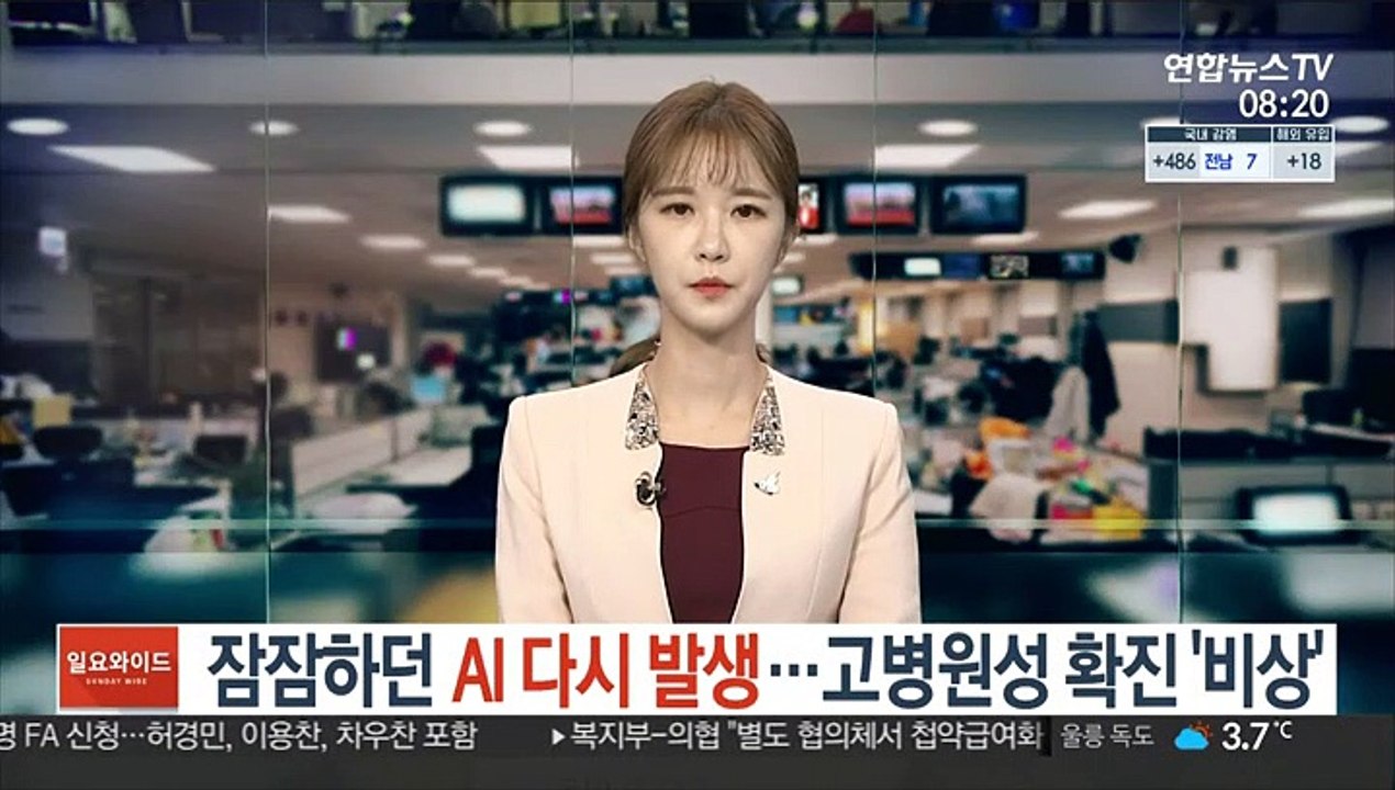 잠잠하던 AI 다시 발생…고병원성 확진 '비상'