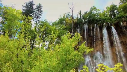 ¡No te sigas culpando, es hora de perdonarte! (Reflexiones) | Yohan Cala