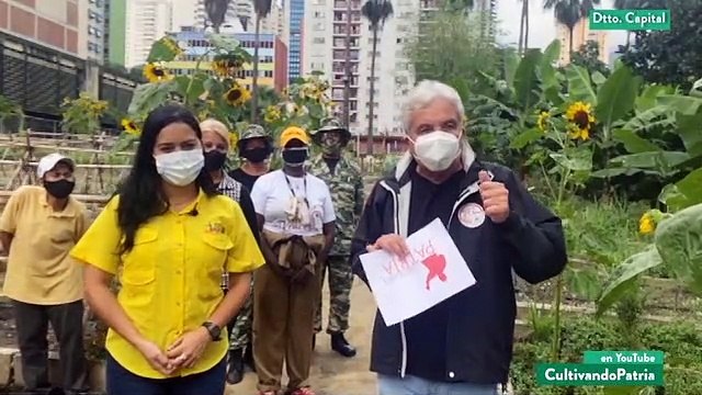 Cultivando Patria 29NOV2020 I Producción de hortalizas en el Organopónico Bolívar 1 de Caracas