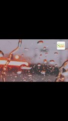 Evita enfermarte en esta época de lluvias