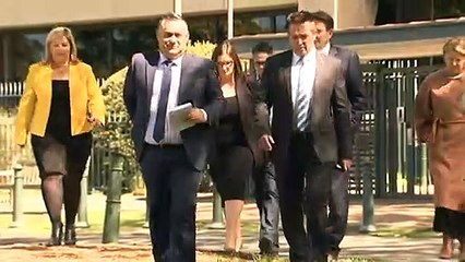 Tensions boil over in NSW Coalition over koala policy