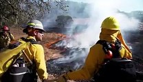Californians are turning to Indigenous groups and their 'controlled burns' to combat the worst wildfire season in history