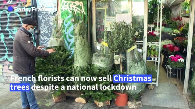 French florists authorised to sell Christmas trees despite lockdown in boost to business
