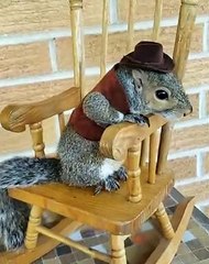 Little Squirrels Rocks in Rocking Chair