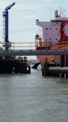 Sea Vessel Collision Leads to Massive Oil Spill