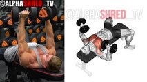 Ultimate 7 Chest Exercise For Massive Pecs - Mr.Perfect