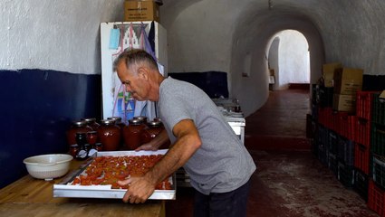 WATCH: Santorini used to have a flourishing tomato crop. Now one man is turning to tourists to save the industry.
