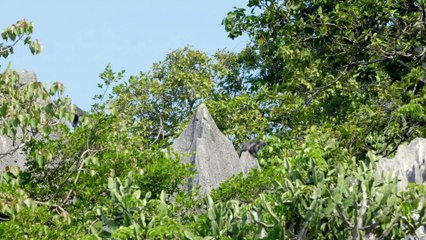 Mysteries of the Mekong S01E10 - Vietnam The Journeys End