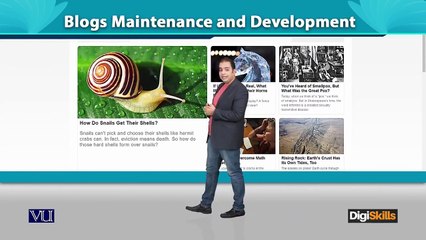 019 - Digital Marketing - Blogs Maintenance and Development