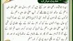 Namaz Main Jaldbazi Na Karo | HD Islamic | Nabi (S.A.W) ka Farman | Hadees