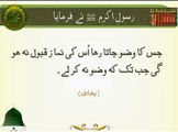 Wazo Zarori Hay | HD Islamic | Nabi (S.A.W) ka Farman | Hadees