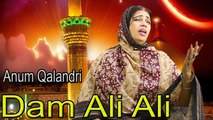 Dam Ali Ali | HD Video | Dhamal | Anum Qalandri | Dhamal