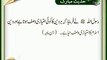 Islam Aur Haya | HD Islamic | Nabi (S.A.W) ka Farman | Hadees
