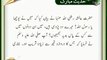 Kareeb Tareen Parosi | HD Islamic | Nabi (S.A.W) ka Farman | Hadees