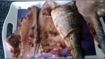Restaurant Style B.B.Q Fish/Grilled Fish Special Recipe/Waqas Ahmed/Recipe Swings