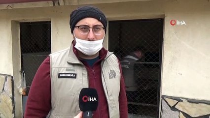 Düzce'de Sahibinin Tek Ettiği Tropikal Maymun Yakalanarak Koruma Altına Alındı