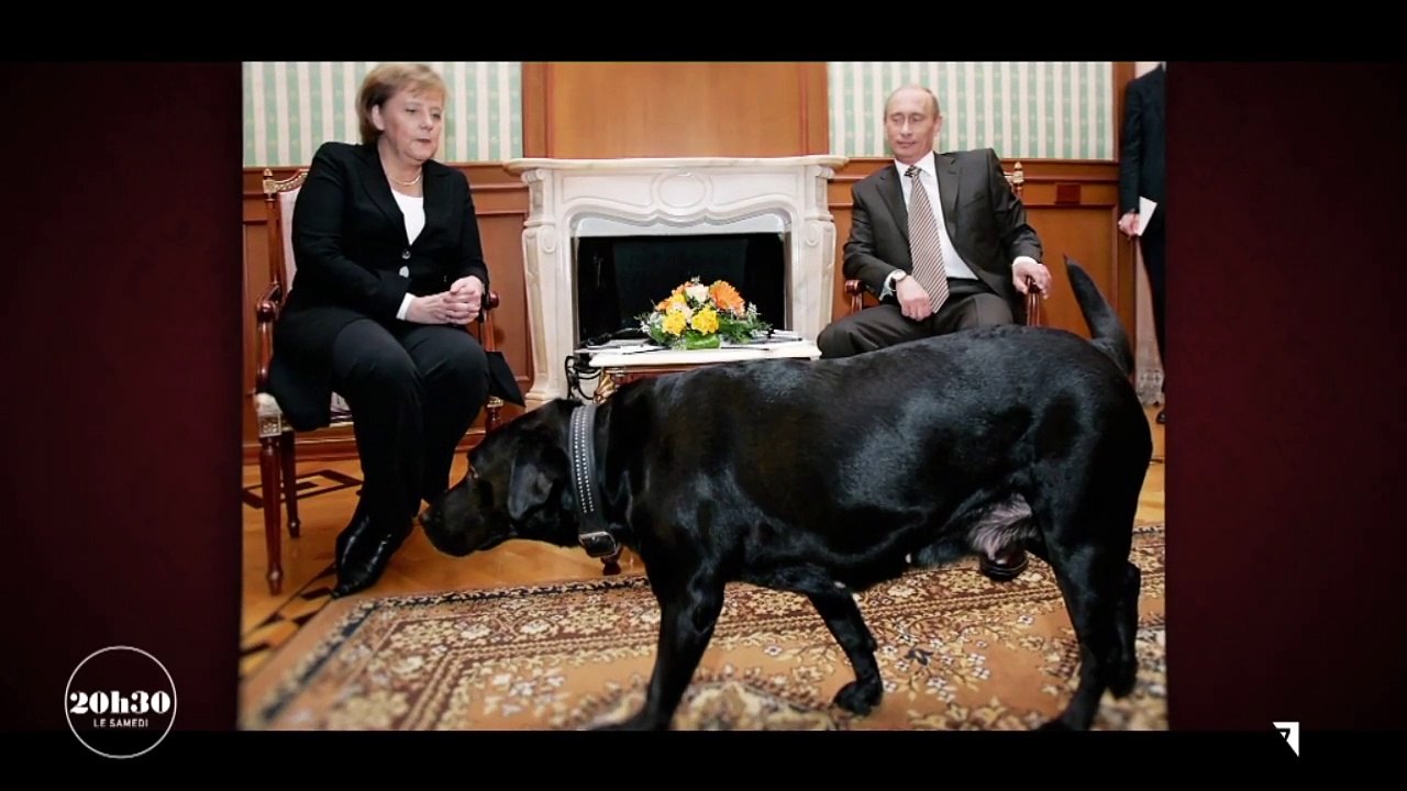 Le jour où le labrador de Vladimir Poutine a effrayé la chancelière ...