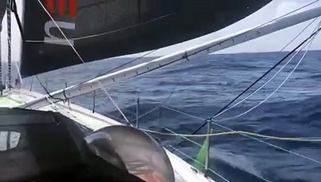 A bord de Newrest-art-fenetres Jour 12 Fabrice Amedeo