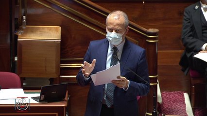 Covid-19 : Le Sénat met à contribution les assurances et l'e-commerce