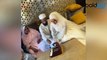 Sana Khan Married Mufti Anas FULL VIDEO _ Sana Khan Mufti Anas की शादी _ Boldsky