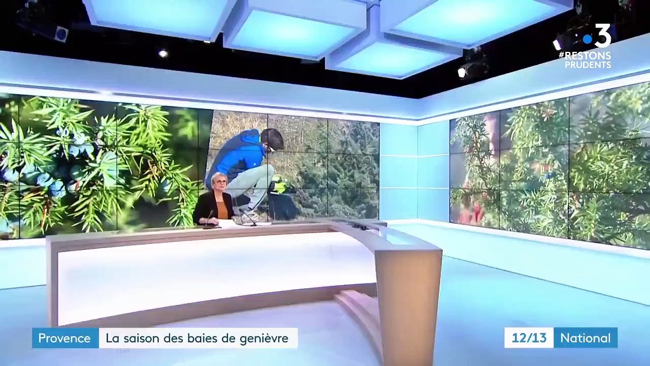 Alpes-de-Haute-Provence : les secrets de fabrication du gin artisanal