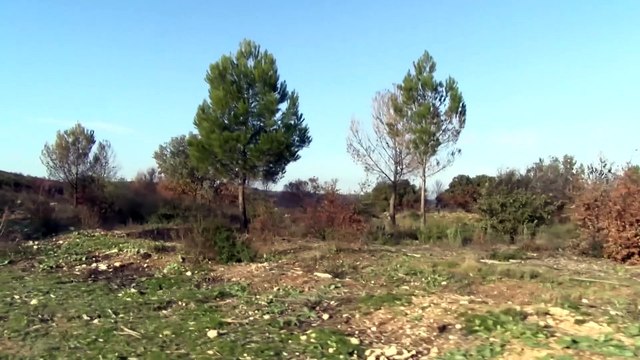 Port-de-Bouc : balade à moins d'1 kilomètre de chez soi...
