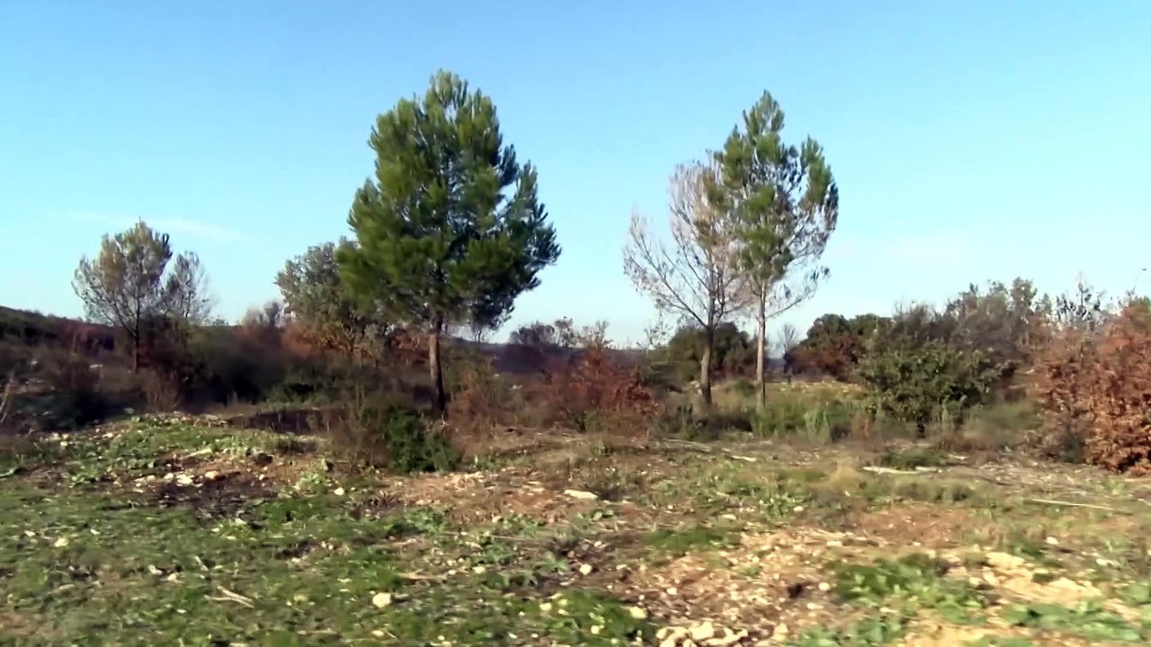 Port-de-Bouc : balade à moins d'1 kilomètre de chez soi...