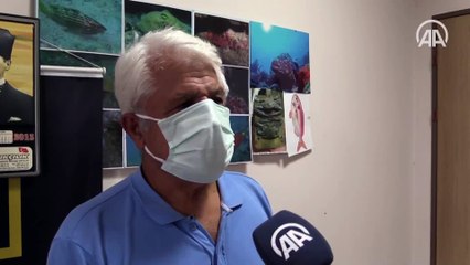 Avusturyalı turistlere, Antalya falezlerinde Akdeniz foku sürprizi