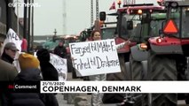 Coronavirus: Danish farmers demonstrate against government's mink slaughter policy