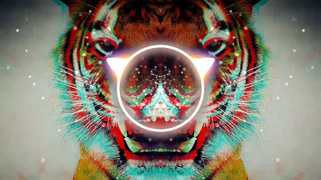 Gaming EDM Music - Tiger Tracks (Electro Video Games)