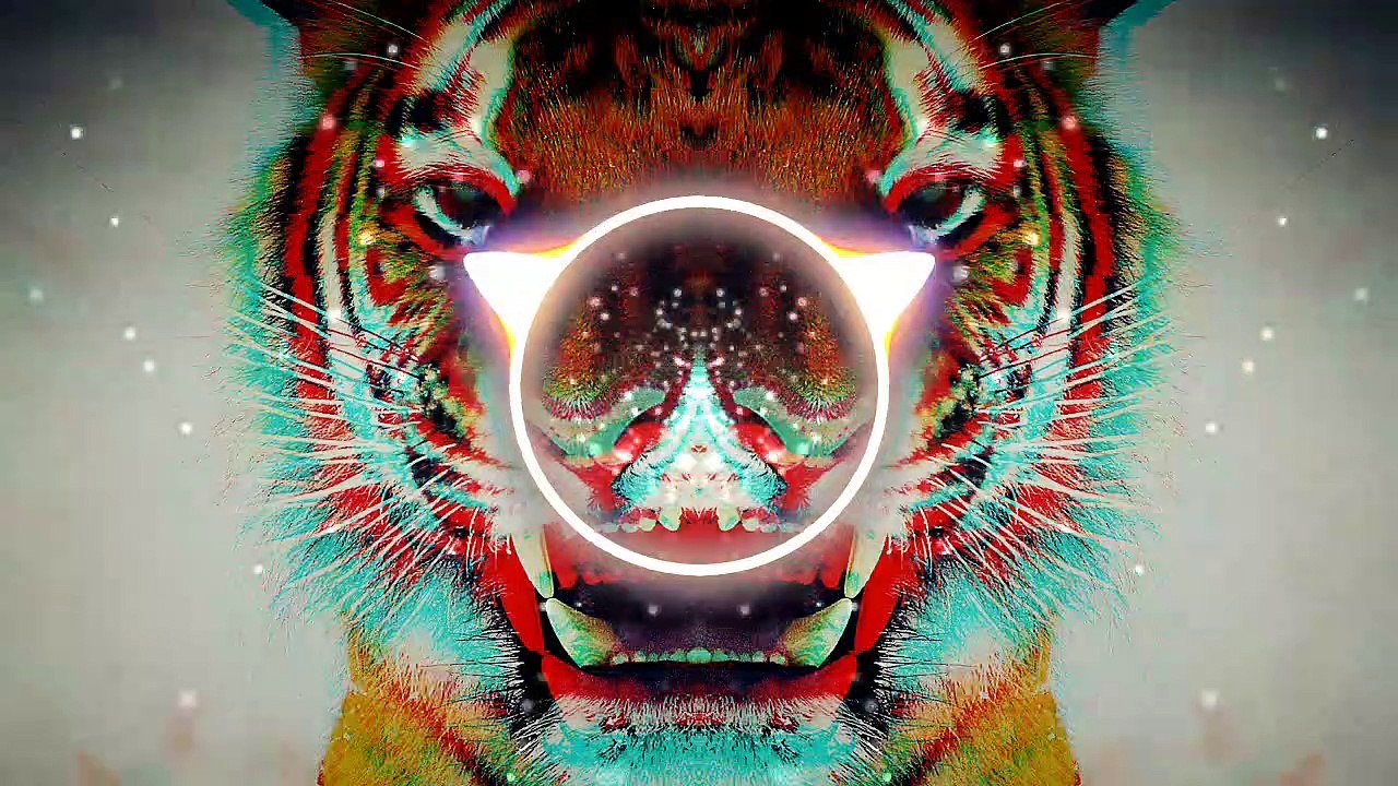 Gaming EDM Music - Tiger Tracks (Electro Video Games)