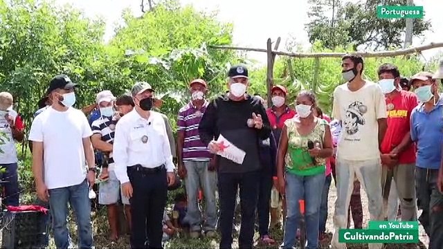 Cultivando Patria 22NOV2020 I Conuqueros de Portuguesa fortalecen producción agrícola en el país