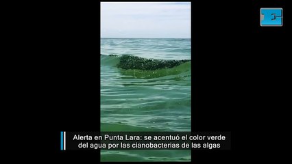 Impactante: el agua en Punta Lara ya es totalmente verde