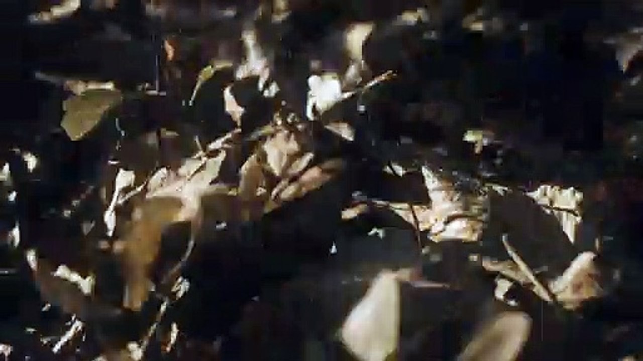 REBELS UNITED - EARTH