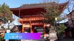 【Travel log】Kyoto Japan♡ Women's trip♪EDM Vlog 2020 autumn
