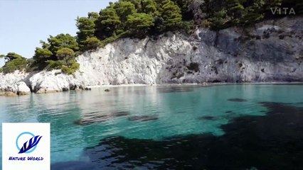 Nature Ocean waterfall waterfall