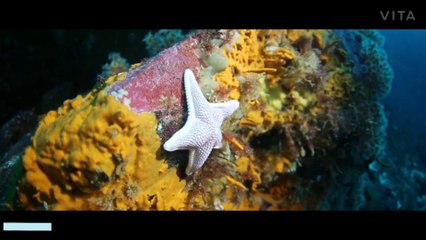 Nature beauty under water world Nature Water fall under water