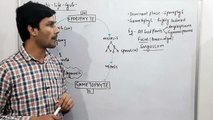 Diplontic Life Cycle in Seeded Plants-Chapter  Plant KIngdom