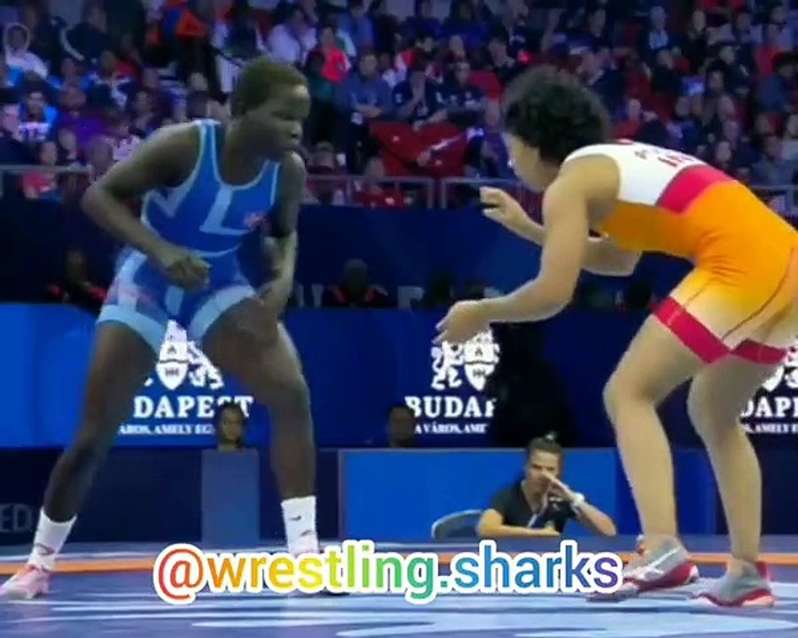 Wrestling sharks on Instagram