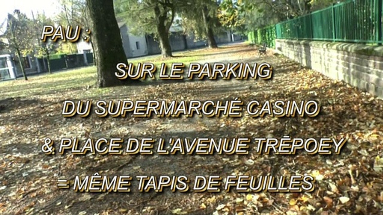 LES SCOOPS DE MICHOU64 W-D.D. - 16 NOVEMBRE 2020 - PAU - SUR LE PARKING DU SUPER MARCHÉ CASINO ET PLACE AVENUE TRESPOEY = MÊME TAPIS DE FEUILLES
