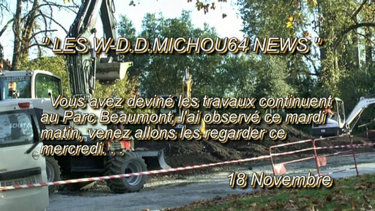 LES W-D.D. MICHOU64 NEWS - 18 NOVEMBRE 2020 - PAU - L'ÉVOLUTION DES TRAVAUX AU PARC BEAUMONT