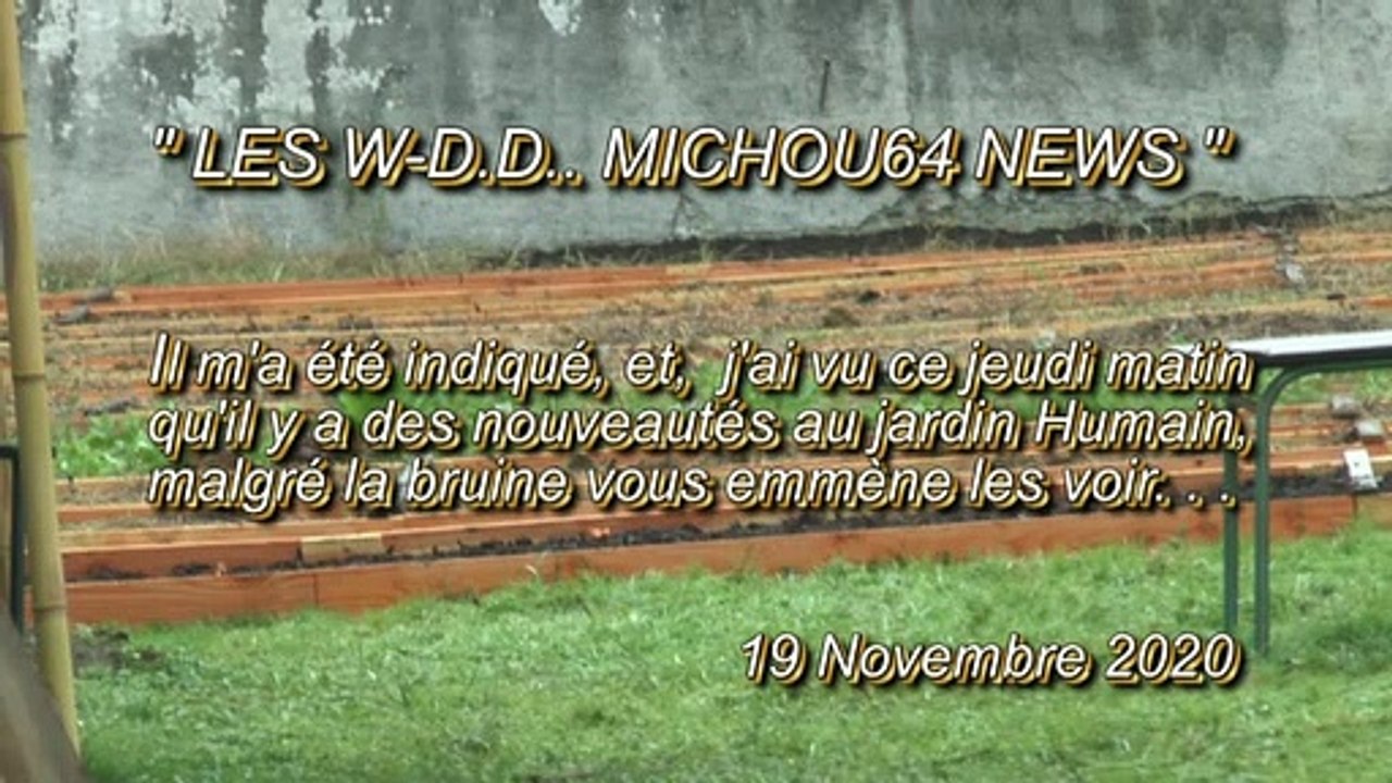 LES W-D.D. MICHOU64 NEWS - 19 NOVEMBRE 2020 - PAU - LES NOUVEAUTÉS DU JARDIN HUMAIN ESPLANADE TOURS D'ASPIN MALGRÉ LA BRUINE UN PEINTRE