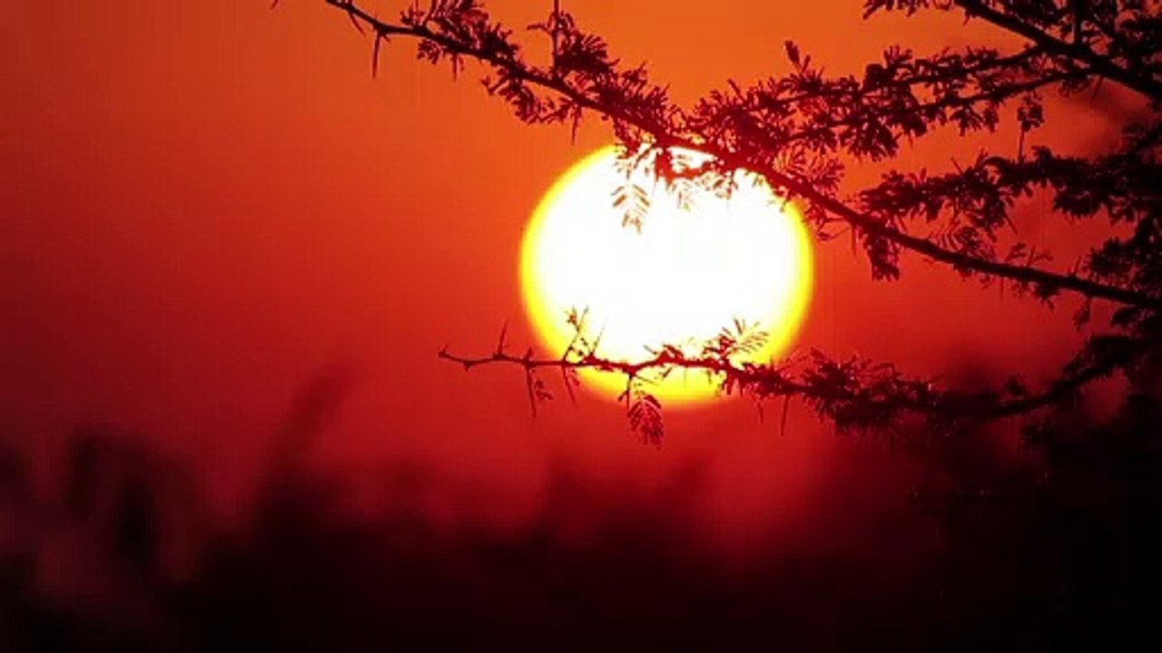 Beautiful Red Sunset