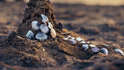 Sand Castles | Romantic | Children's