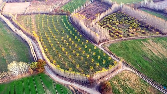 IĞDIR - İrem Bağları sonbahar renkleriyle büyülüyor