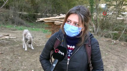 Ölmekten kurtarılan 'Toki' değişimi ile şaşırtıyor