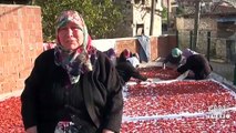 Doğal şifa kaynağı tarhana | Video