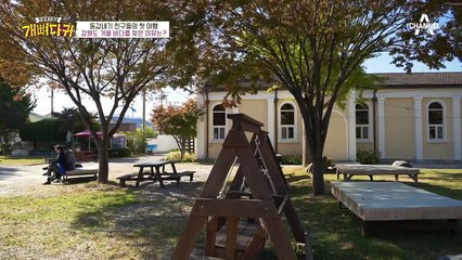 동갑내기 친구들의 첫 번째 여행, 강원도 겨울 바다를 찾은 개뼈다귀